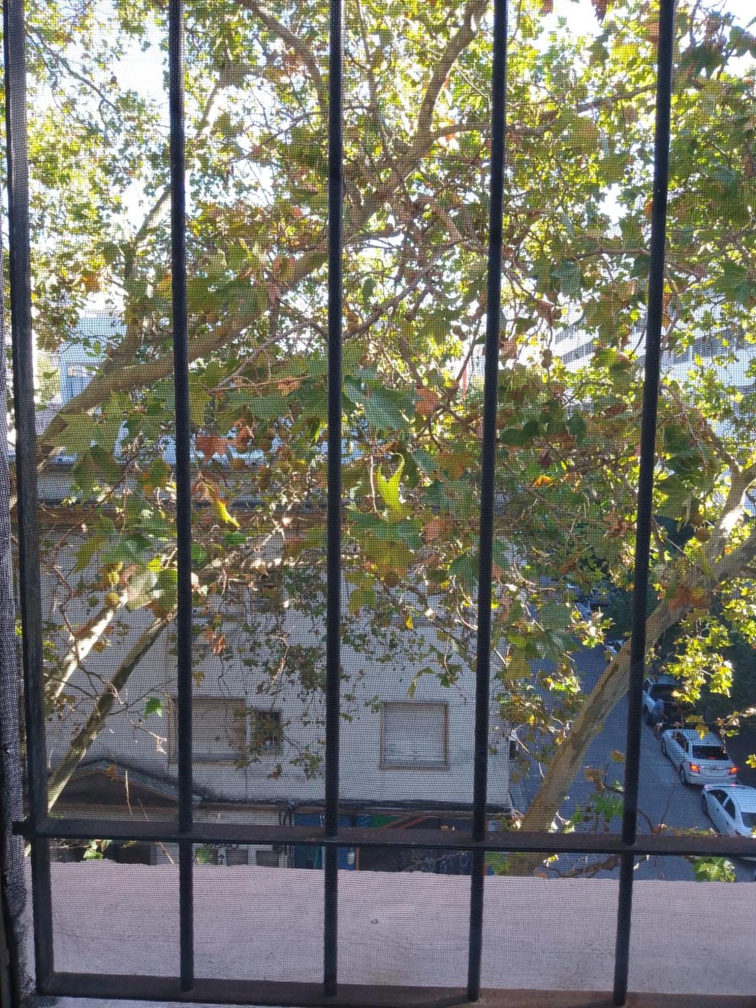 Montevideo Hostel Exterior photo